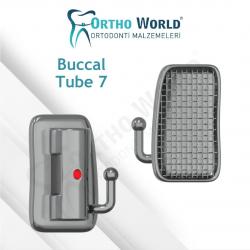 BUCCAL TUBE 7 NUMARA ALT SAĞ 0,22 M.B.T